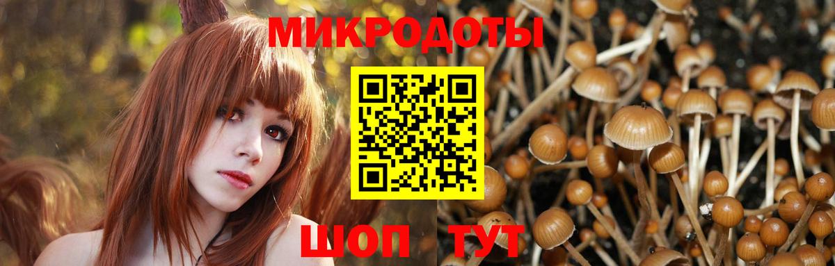 Галлюциногенные грибы Magic Shrooms  Вход с VPN  Усинск  Галлюциногенные грибы GOLDEN TEACHER 